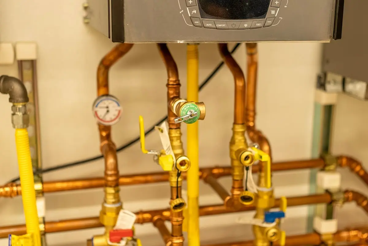 Licensed technician providing Sump Pump Repair for a homeowner in Locust Grove